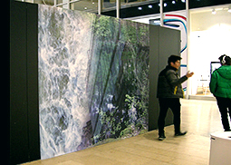 annfrossen artist
